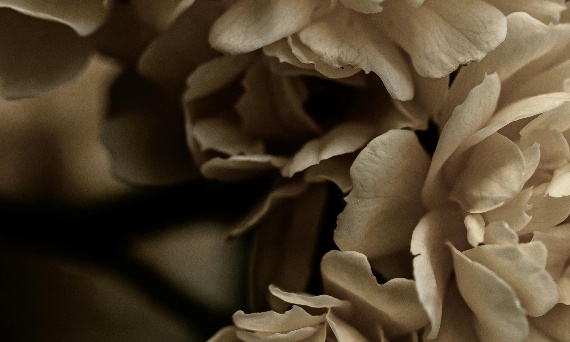 Światło, które zostaje w pamięci