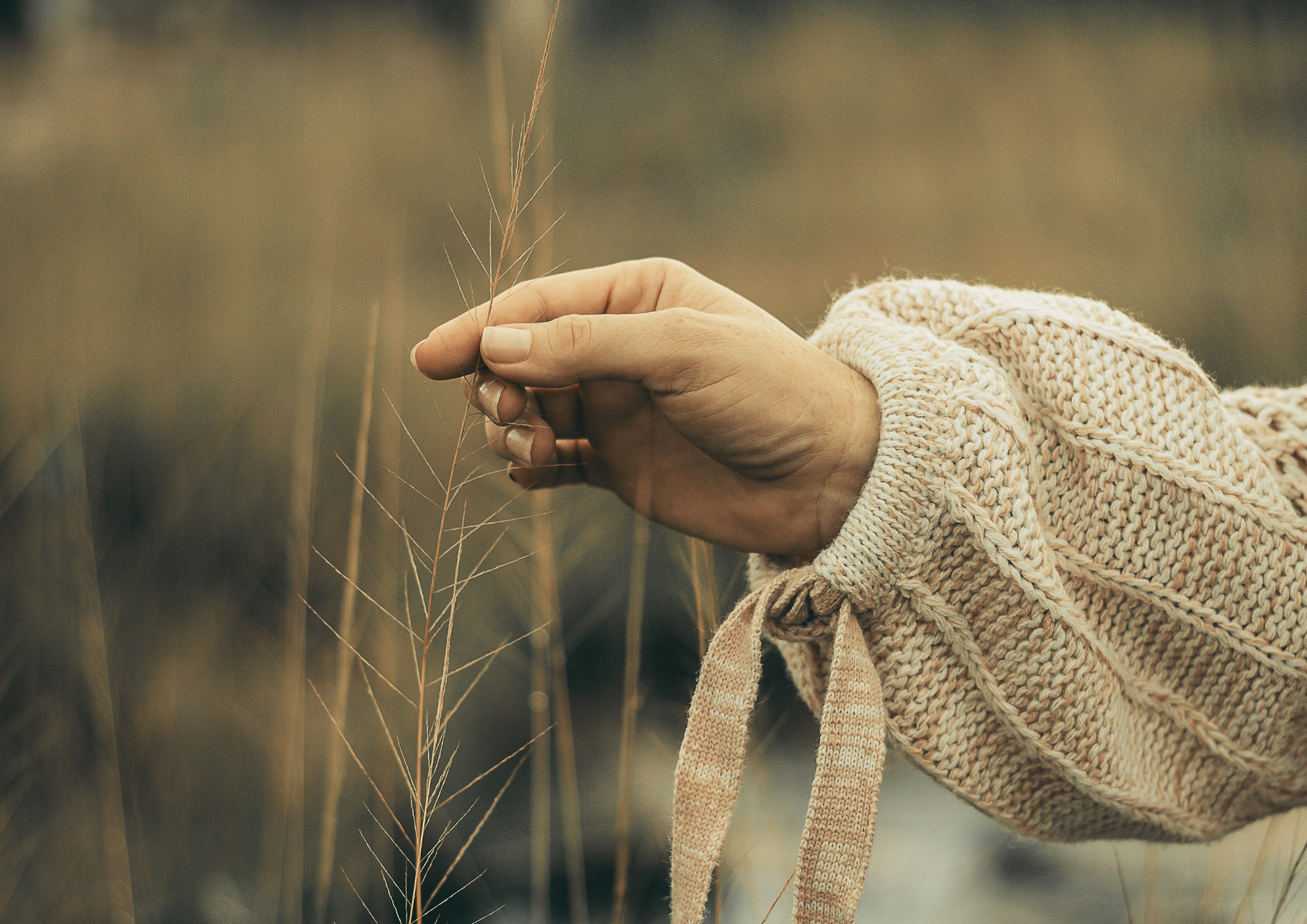 Listy spod numeru 12